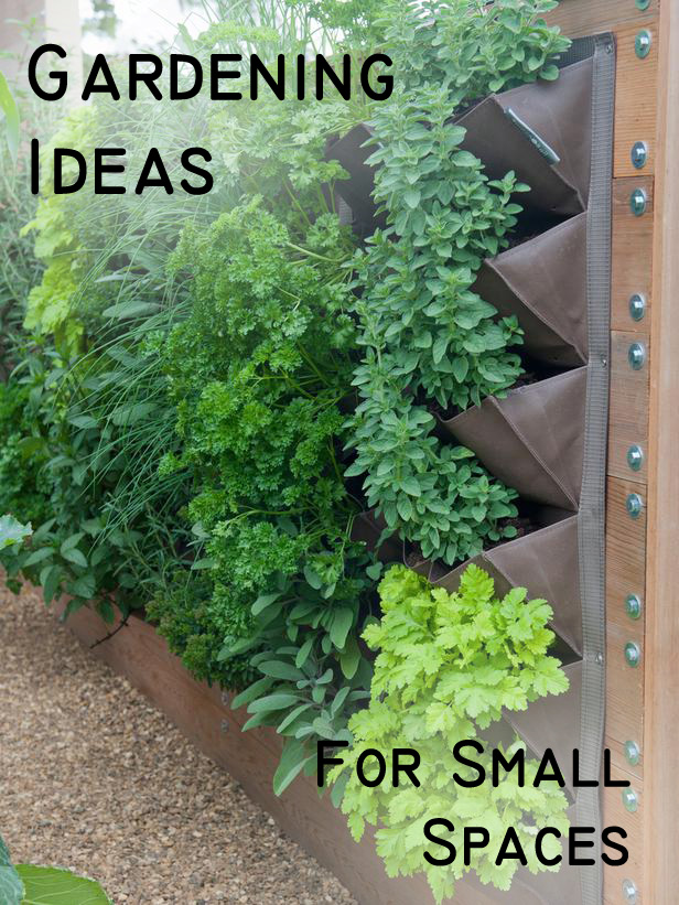 Gardening Ideas For