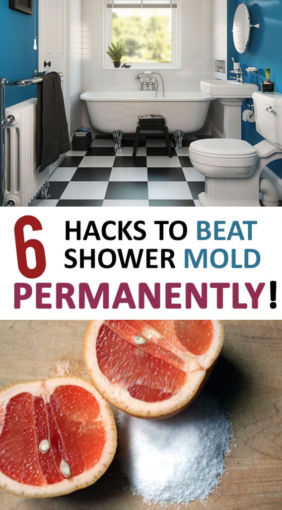 6 Hacks to Beat Shower Mold-Permanently! - Sunlit Spaces