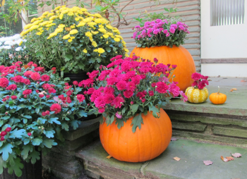 10-no-carve-ways-to-decorate-pumpkins5