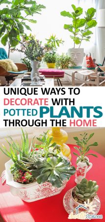 Unique Ways to Decorate With Potted Plants Through the Home| Potted Plants, Potted Plant Ideas, Potted Plants Patio, Potted Plants Outdoor, Home Decor, Home Decor DIY