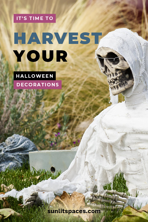 It's Time to Harvest Your Halloween Decorations - Sunlit Spaces | DIY ...