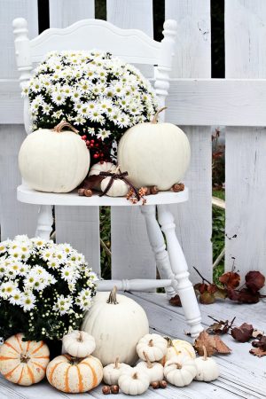 Fall Porch Decor | DIY Fall Porch Decor | Fall Porch Decor Ideas | Fall Porch Decorations | Fall Porch | Outdoor Fall Decor