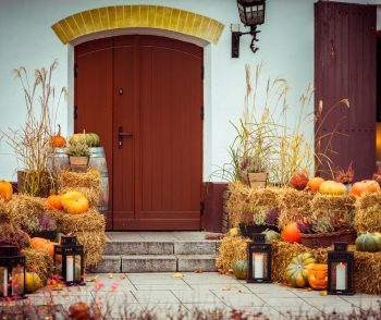 Harvest Your Halloween Decorations | Harvesting | Halloweeen | Halloween Decorations | Fall Decorations | Fall Front Porch Decorations | Halloween Front Porch Decorations 