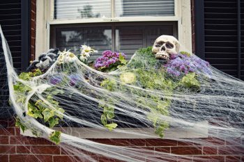 Harvest Your Halloween Decorations | Harvesting | Halloweeen | Halloween Decorations | Fall Decorations | Fall Front Porch Decorations | Halloween Front Porch Decorations 
