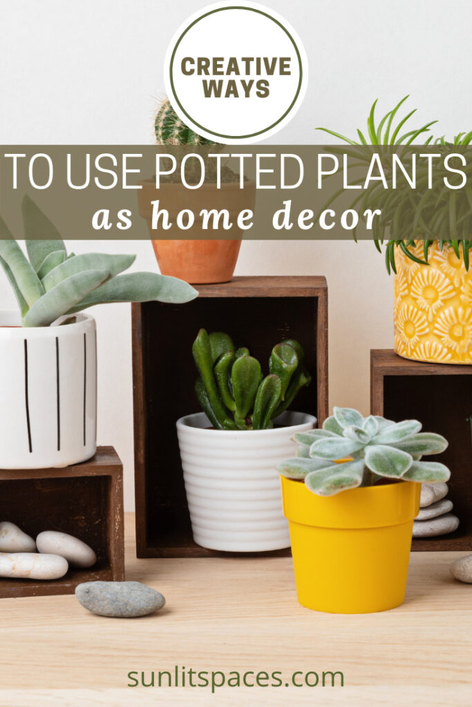 How To Decorate With Potted Plants Home Decor Ideas