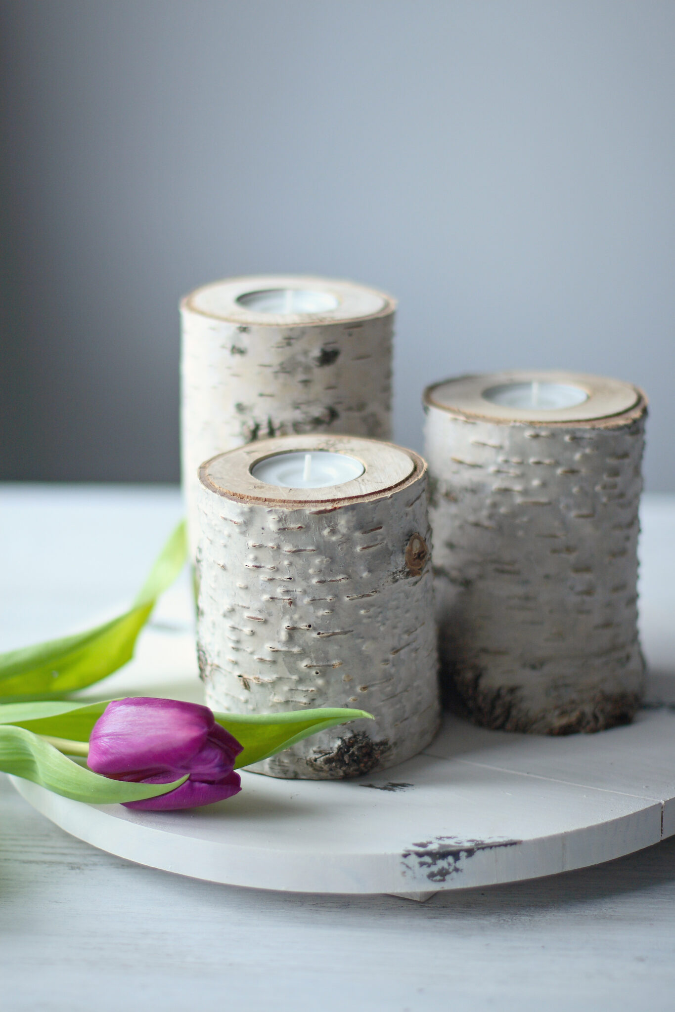 Birch Candles Economical Means to Make Candles That Will Transform